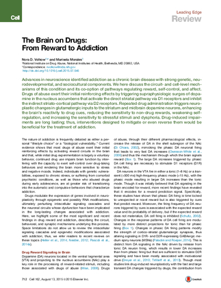 brain on drugs   reward to addiction