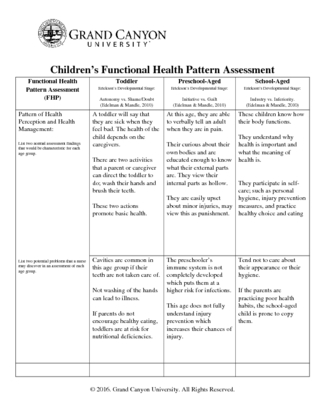 Childrens Functional Health Pattern Asse
