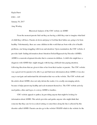 Draft of a Rhetorical Analysis of a Public Document Assignment.
