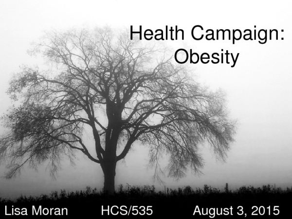 HCS 535 Health Campaign Presentation