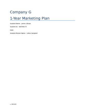 Marketing Plan Template (1)