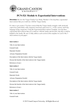 PCN521 R M6ExperientialInterventionTemplate