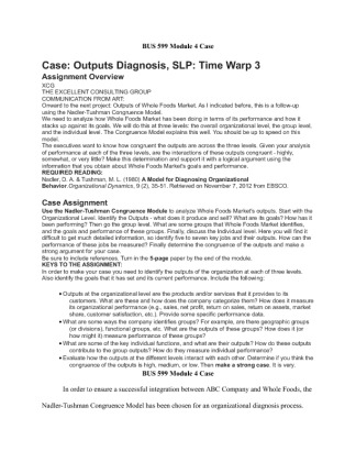 BUS 599 Module 4 Case Outputs Diagnosis