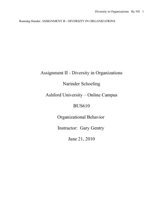BUS610 Assignment II   Diversity in OrganizationsAssignment 2