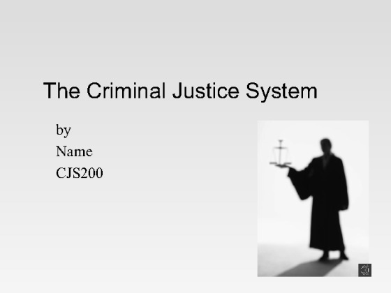 Final Project   The Criminal Justice System