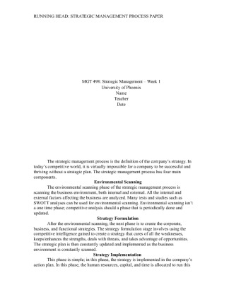 MGT 498 Week 1   Individual Paper   Strategic Management Process Paper