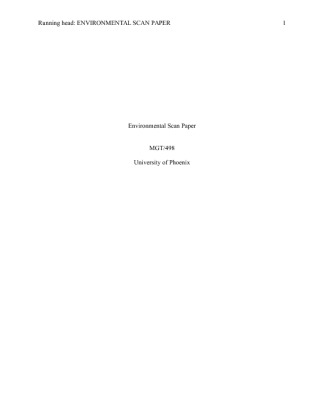 MGT 498 Week 3 Individual Assignment Environmental Scan Paper   Copy