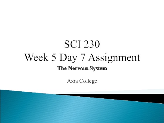 SCI 230 Week 5 Human Nervous System Presentation