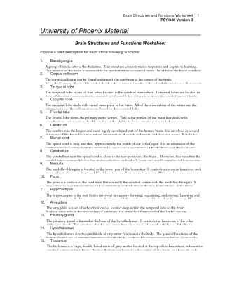 10 PSY 340 Week 2 Individual Brain Structures and Functions Worksheet