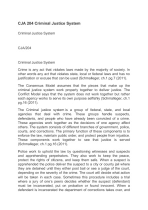 CJA 204 Criminal Justice System paper