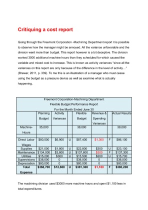 BUS 630 week 4 DQ 2 Critiquing a Cost Report