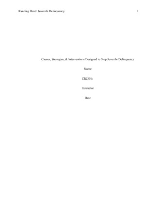 CRJ 301 Week 5 Final Paper (Causes, Strategies, and Interventions...