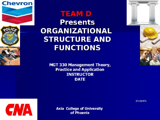 MGT 330 Week 4 Organizational Structure Paper