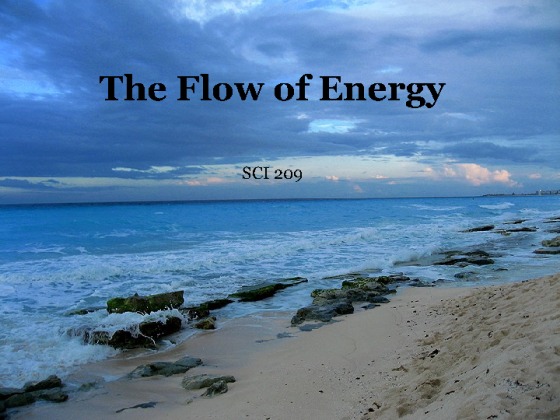 SCI 209 Week 5 Individual Assignment The Flow of Energy (UOP Course)