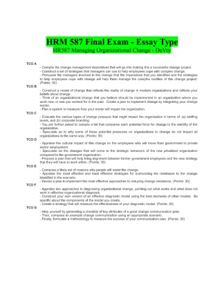HRM 587 Final Exam Additional Essays