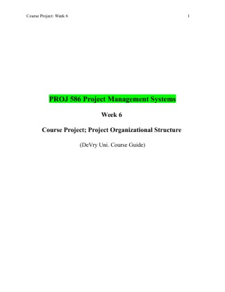 PROJ 586 Week 6 Course Project; Project Organizational Structure