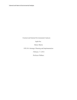 STR 581External and Internal Environmental Analysis,