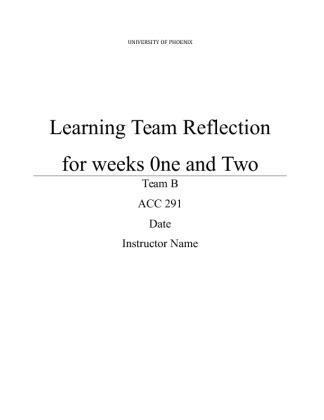 ACC 291 Week 2 Reflection Summary