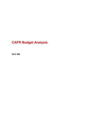 ACC 460 Week 2 Learning Team CAFR Budget Analysis 133403476