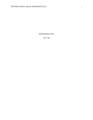 ACC 561 Week 2 Small Business Idea Paper