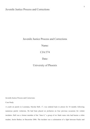 cja 374 week 4 individual assignment juvenile justice process and...