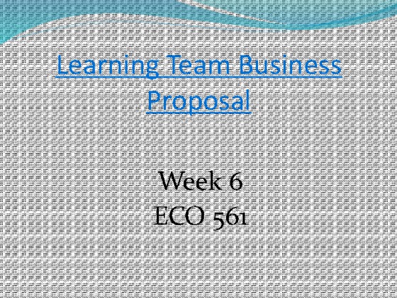 eco 561 week 6 final business proposal