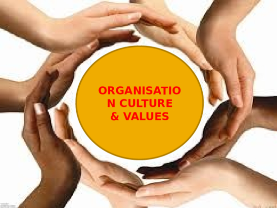 1353767 1 ORGANISATION CULTURE AND VALUES