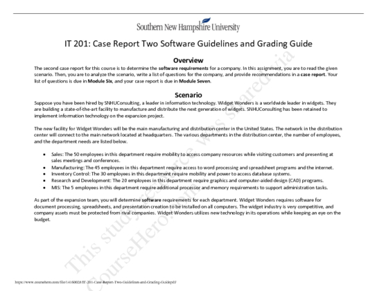 IT 201: SNHU Consulting Case Report