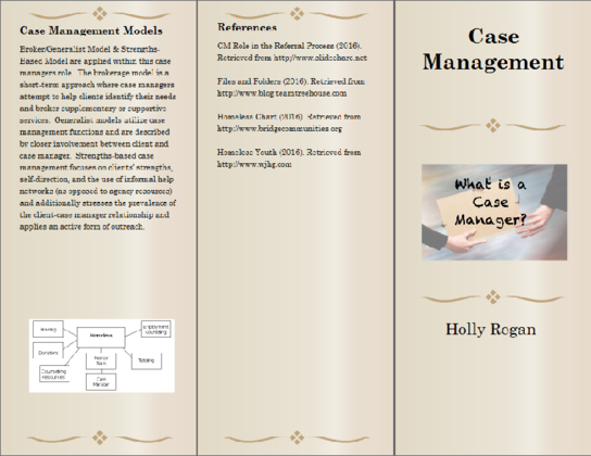 Case Management Brochure BSHS 405