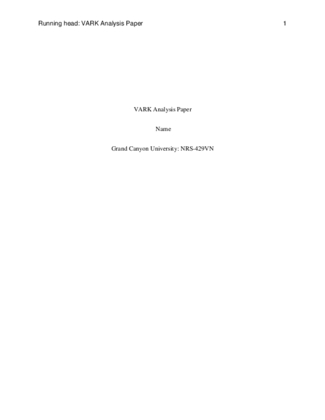 VARK Analysis Paper