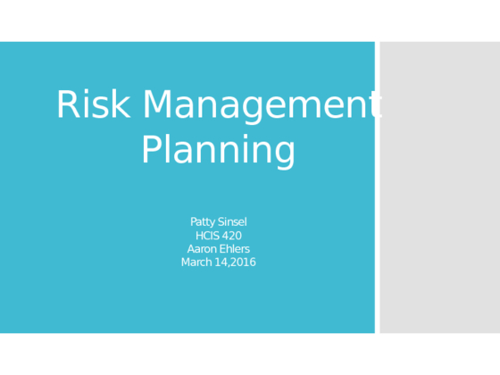 HCIS 420 week 3 Risk Management Planning