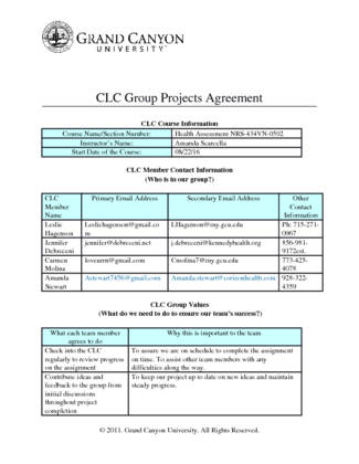 CLC Agreement Student Blue Group
