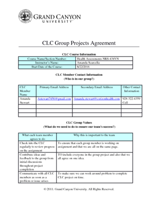 NRS434 .CLC Agreement Student