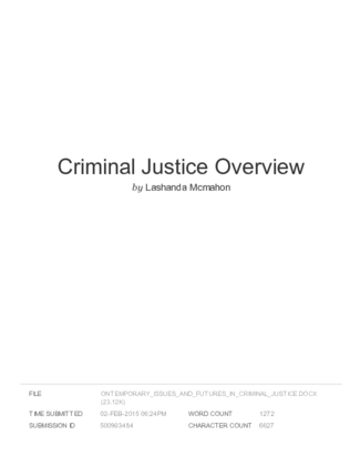 Criminal Justice Overview