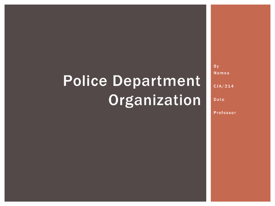 CJA 214 Police Department Organization