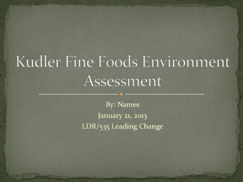 LDR 535 Week 4 Environment Assessment Presentation