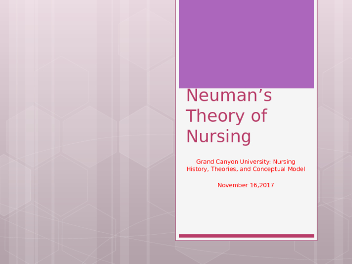 Nursing Conceptual Model SLIDES