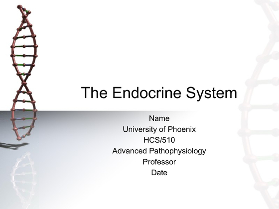 HCS 510 Endocrine System Presentation