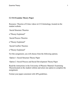 CJ 314 Examine Theory Paper