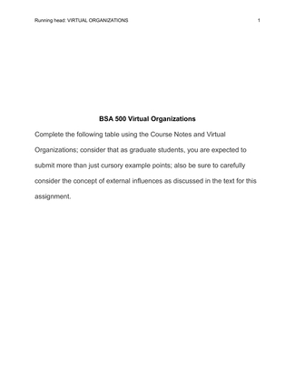 BSA 500 Virtual Organizations