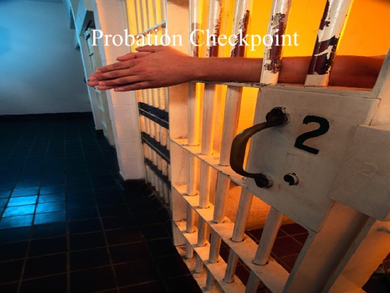 CJS 240 Week 6 Checkpoint Probation