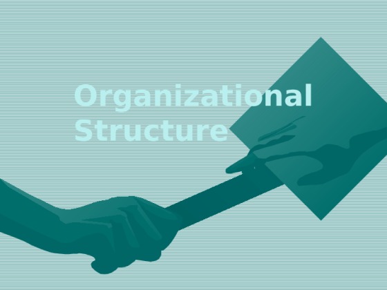 HCS 413 week 3 Team Assignment Organizational Structures Power Point...