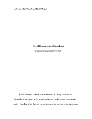 CJA 384 week 4 Individual Assignment Social Disorganization Q&A