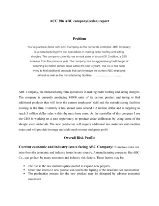ACC 206 ABC company(CEDAR roofing)report