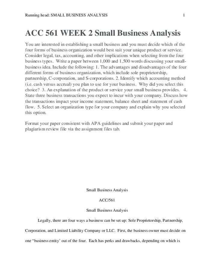 ACC 561 WEEK 2 Small Business Analysis
