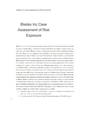 Blades Inc Case Assessment of Risk Exposure