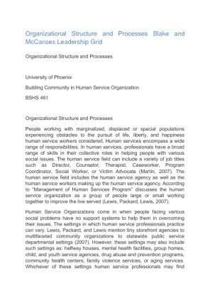BSHS 461 Organizational Structure and Processes Blake and McCanses...
