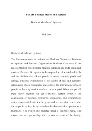 Bus 210 Business Models and Systems
