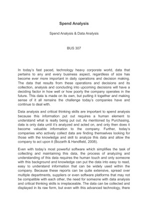 BUS 307 Spend Analysis & Data Analysis