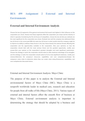 BUS 499 Assignment 2 External and Internal Environments